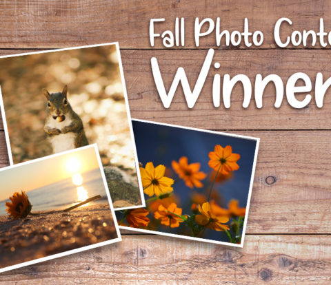 Fall Photo Contest Winners