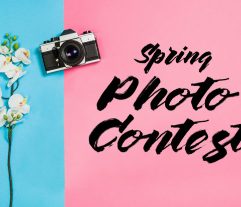 Spring 2019 Photo Contest